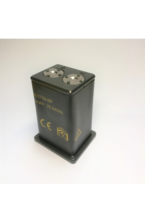 Spectra Precision lazerinio nivelyro baterija, tinka modeliams LT56, LT58, LT58G